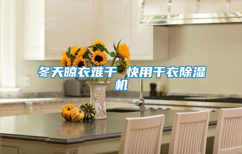 冬天晾衣难干 快用干衣辣椒视频APP下载并安装