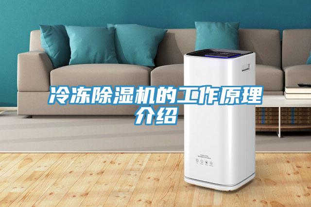 冷冻辣椒视频APP下载并安装的工作原理介绍