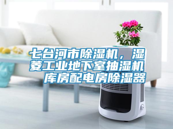 七台河市辣椒视频APP下载并安装，湿菱工业地下室抽湿机  库房配电房除湿器