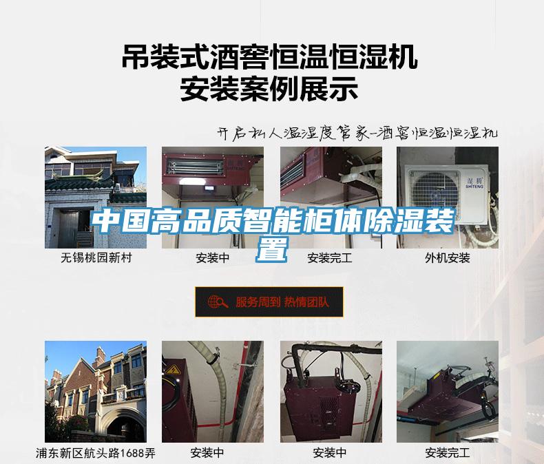 中国高品质智能柜体除湿装置