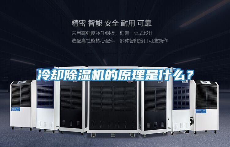 冷却辣椒视频APP下载并安装的原理是什么？