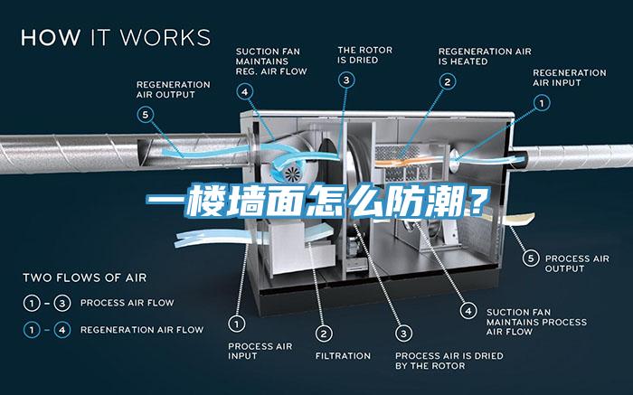 一楼墙面怎么防潮？