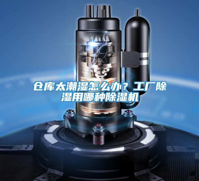 仓库太潮湿怎么办？工厂除湿用哪种辣椒视频APP下载并安装