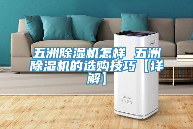 五洲辣椒视频APP下载并安装怎样 五洲辣椒视频APP下载并安装的选购技巧【详解】