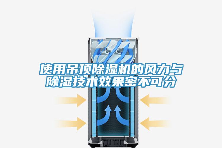 使用吊顶辣椒视频APP下载并安装的风力与除湿技术效果密不可分