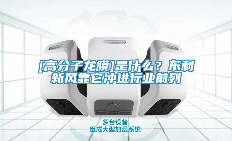 [高分子龙膜]是什么？东利新风靠它冲进行业前列