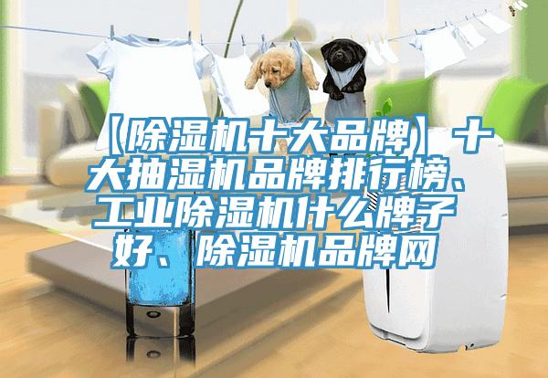 【辣椒视频APP下载并安装十大品牌】十大抽湿机品牌排行榜、工业辣椒视频APP下载并安装什么牌子好、辣椒视频APP下载并安装品牌网
