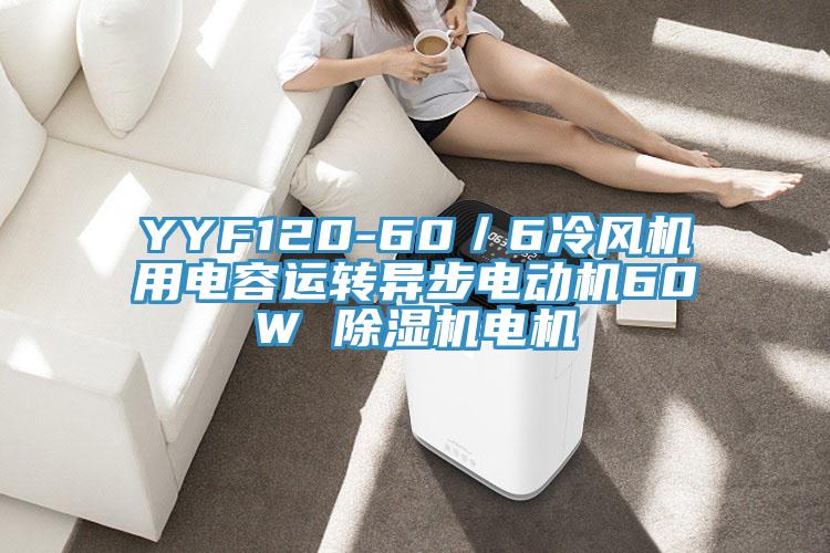 YYF120-60／6冷风机用电容运转异步电动机60W 辣椒视频APP下载并安装电机