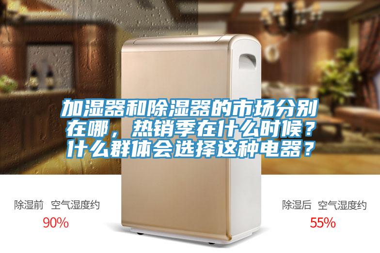 加湿器和除湿器的市场分别在哪，热销季在什么时候？什么群体会选择这种电器？