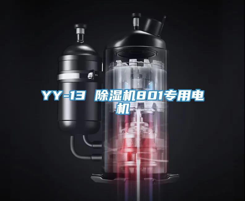 YY-13 辣椒视频APP下载并安装801专用电机