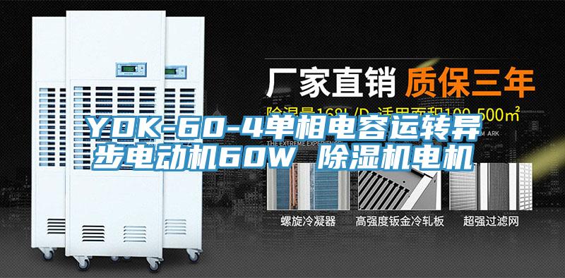 YDK-60-4单相电容运转异步电动机60W 辣椒视频APP下载并安装电机