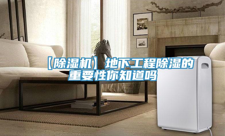 【辣椒视频APP下载并安装】地下工程除湿的重要性你知道吗