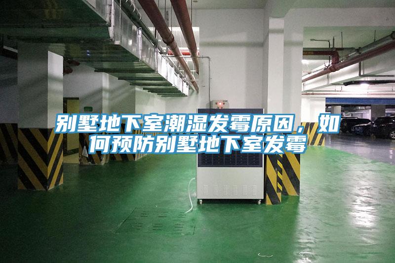 别墅地下室潮湿发霉原因，如何预防别墅地下室发霉