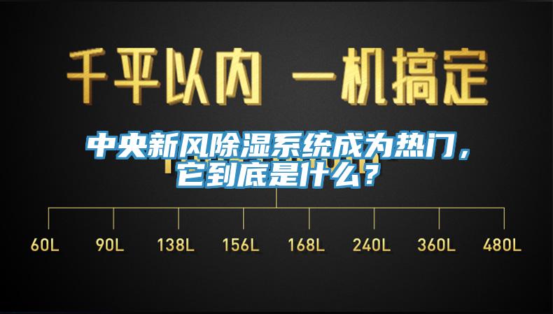 中央新风除湿系统成为热门，它到底是什么？
