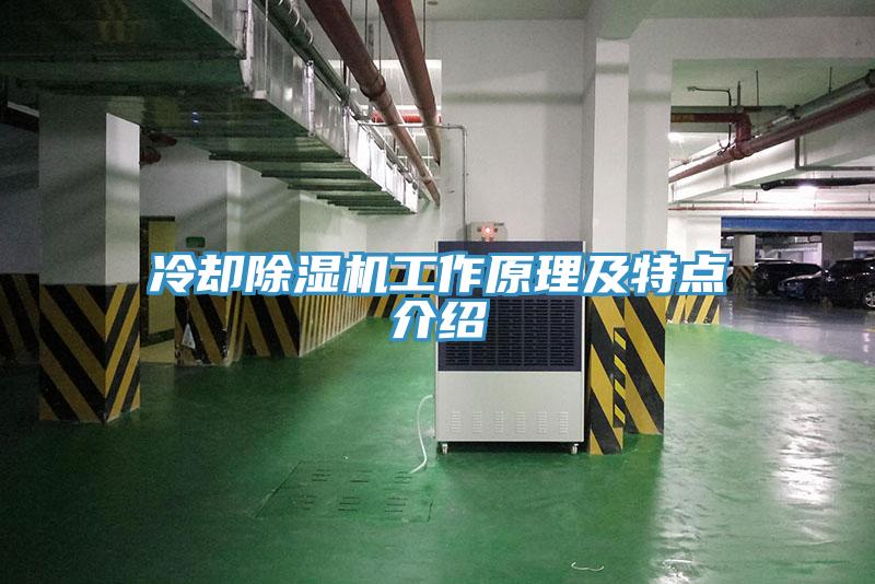 冷却辣椒视频APP下载并安装工作原理及特点介绍
