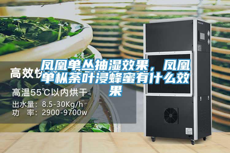 凤凰单丛抽湿效果，凤凰单枞荼叶浸蜂蜜有什么效果