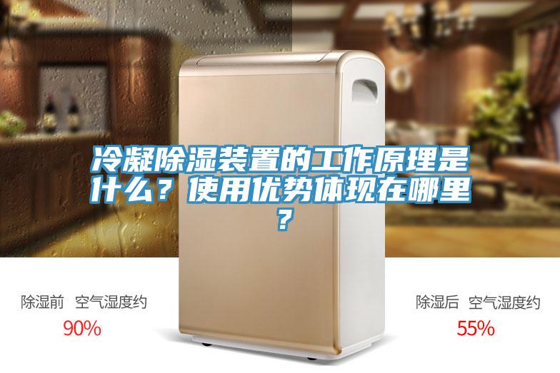 冷凝除湿装置的工作原理是什么？使用优势体现在哪里？