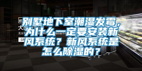 别墅地下室潮湿发霉，为什么一定要安装新风系统？新风系统是怎么除湿的？