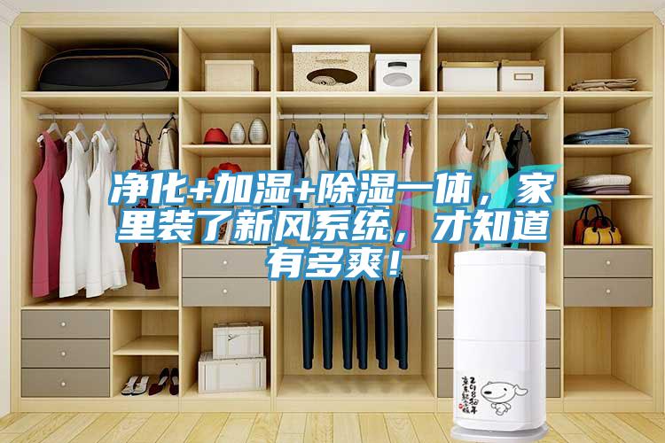 净化+加湿+除湿一体，家里装了新风系统，才知道有多爽！