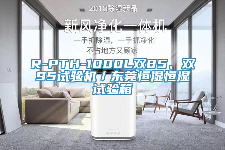 R-PTH-1000L双85、双95试验机／东莞恒湿恒湿试验箱