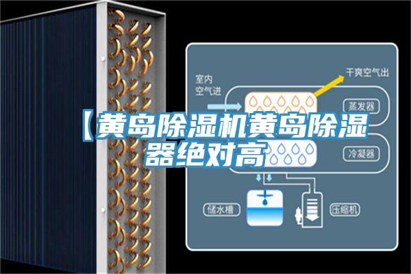 【黄岛辣椒视频APP下载并安装黄岛除湿器绝对高