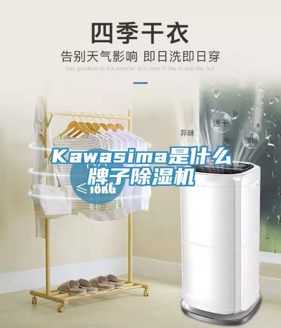 Kawasima是什么牌子辣椒视频APP下载并安装