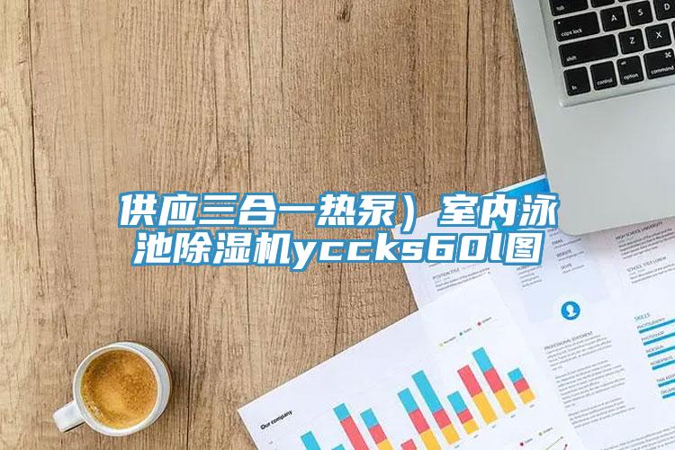 供应三合一热泵）室内泳池辣椒视频APP下载并安装yccks60l图