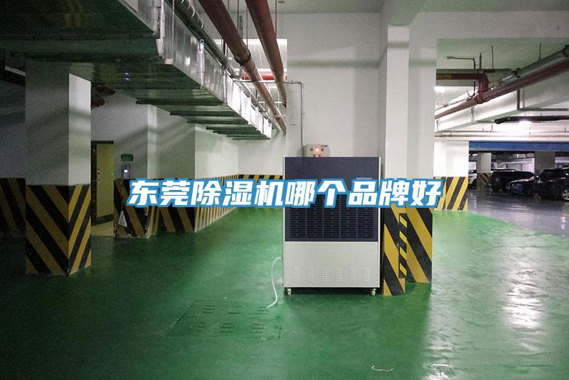 东莞辣椒视频APP下载并安装哪个品牌好
