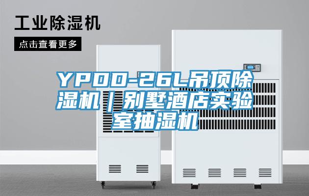 YPDD-26L吊顶辣椒视频APP下载并安装｜别墅酒店实验室抽湿机