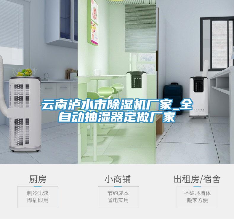 云南泸水市辣椒视频APP下载并安装厂家_全自动抽湿器定做厂家