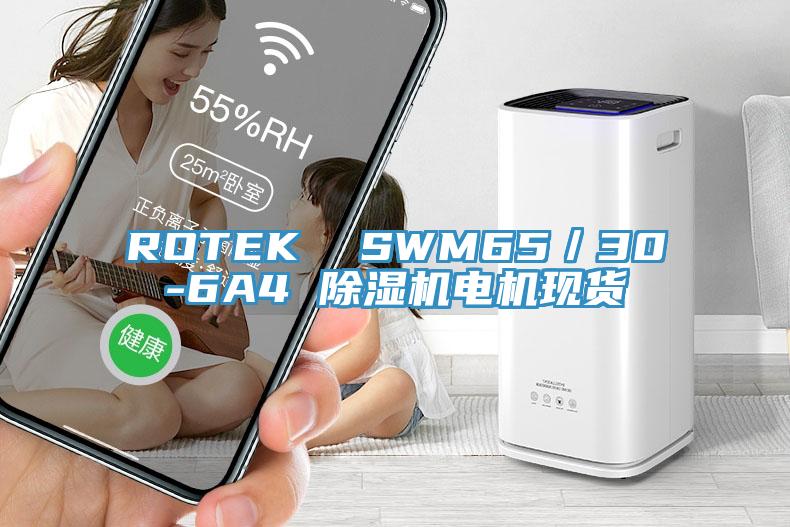 ROTEK  SWM65／30-6A4 辣椒视频APP下载并安装电机现货