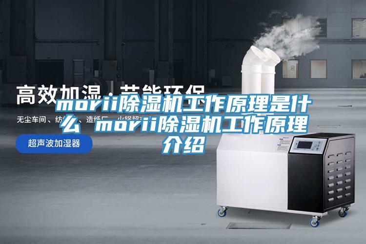 morii辣椒视频APP下载并安装工作原理是什么 morii辣椒视频APP下载并安装工作原理介绍