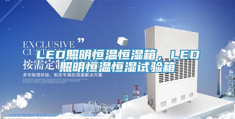 LED照明恒温恒湿箱，LED照明恒温恒湿试验箱