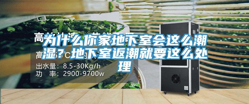 为什么你家地下室会这么潮湿？地下室返潮就要这么处理