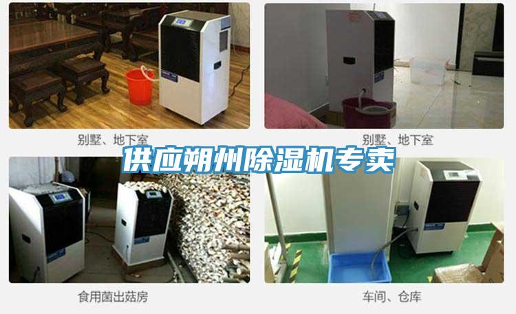 供应朔州辣椒视频APP下载并安装专卖