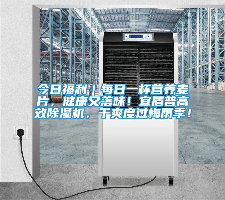 今日福利｜每日一杯营养麦片，健康又落味！宜盾普高效辣椒视频APP下载并安装，干爽度过梅雨季！