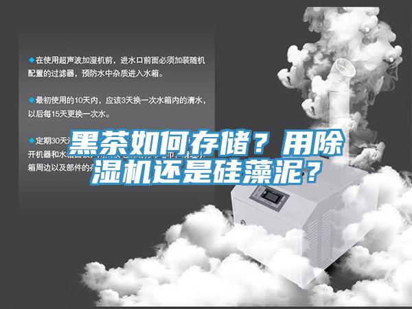 黑茶如何存储？用辣椒视频APP下载并安装还是硅藻泥？