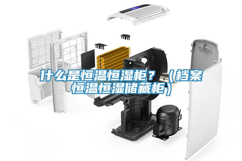 什么是恒温恒湿柜？（档案恒温恒湿储藏柜）