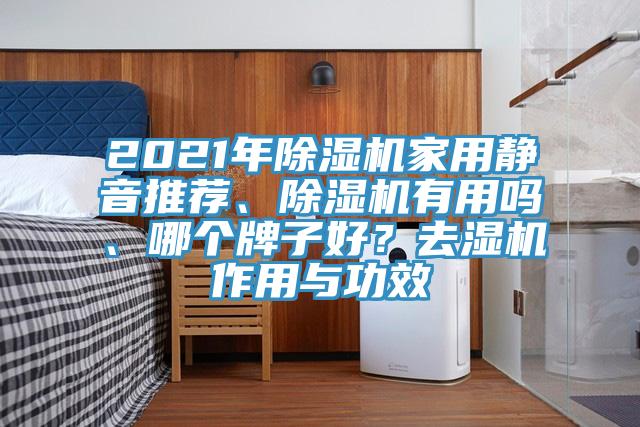 2021年辣椒视频APP下载并安装家用静音推荐、辣椒视频APP下载并安装有用吗、哪个牌子好？去湿机作用与功效