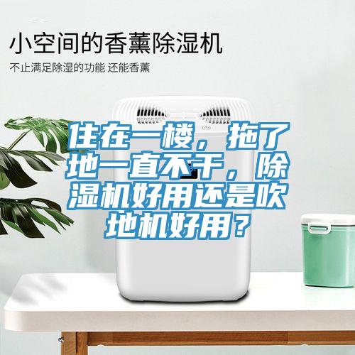 住在一楼，拖了地一直不干，辣椒视频APP下载并安装好用还是吹地机好用？
