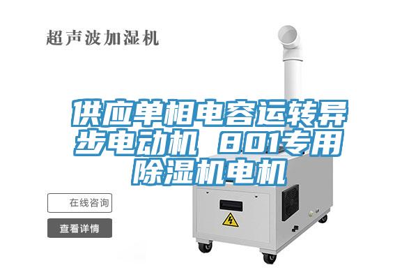 供应单相电容运转异步电动机 801专用辣椒视频APP下载并安装电机