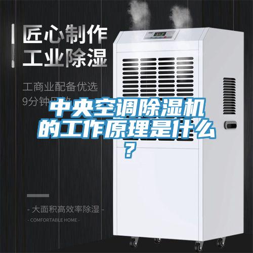 中央空调辣椒视频APP下载并安装的工作原理是什么？