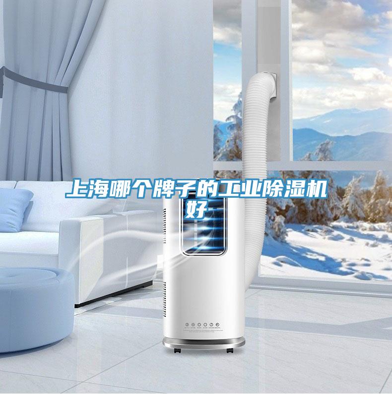 上海哪个牌子的工业辣椒视频APP下载并安装好