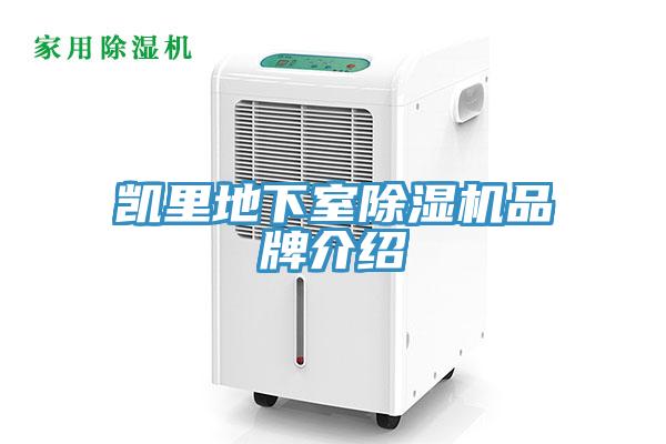 凯里地下室辣椒视频APP下载并安装品牌介绍