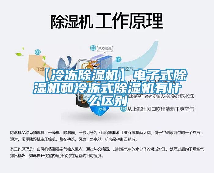 【冷冻辣椒视频APP下载并安装】电子式辣椒视频APP下载并安装和冷冻式辣椒视频APP下载并安装有什么区别