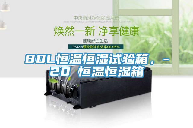 80L恒温恒湿试验箱，-20℃恒温恒湿箱