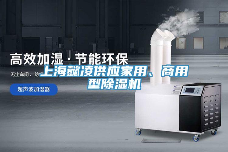 上海懿凌供应家用、商用型辣椒视频APP下载并安装