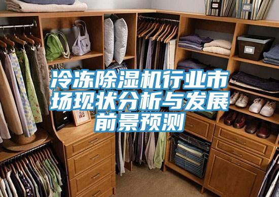 冷冻辣椒视频APP下载并安装行业市场现状分析与发展前景预测