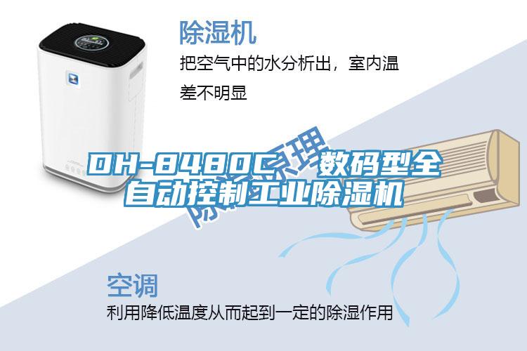 DH-8480C  数码型全自动控制工业辣椒视频APP下载并安装