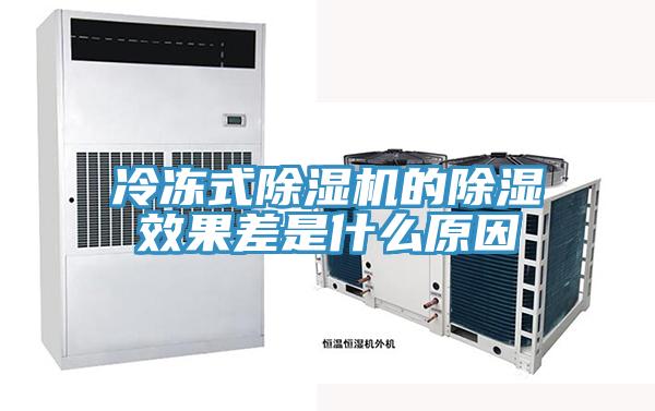 冷冻式辣椒视频APP下载并安装的除湿效果差是什么原因